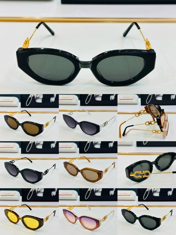 Salvatore Ferragamo Sunglasses Top Quality SFS00498